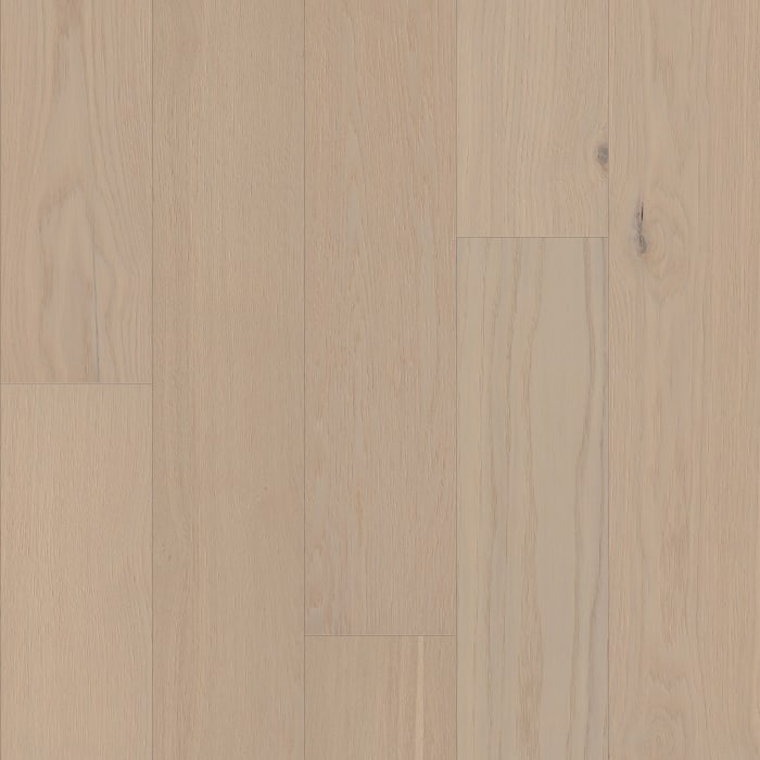 SW776-01153 - Tradition