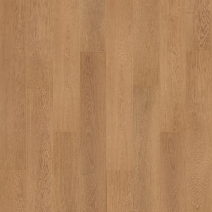 SDP12-417 - Mohawk Solidtech R Plus - Oxford Manor - Rosemary