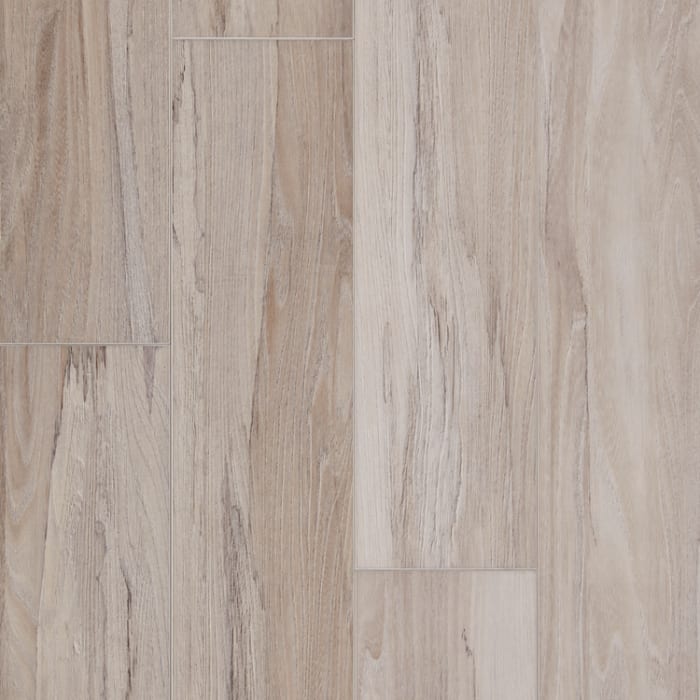 APX020 - Spalted Wych Elm Dew