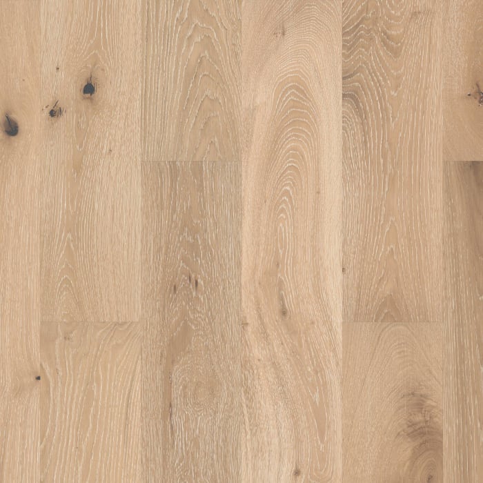 SW485-00146 - Shaw - Castlewood Oak - Tapestry