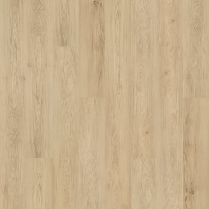 SDP10-237 - Mohawk Solidtech Plus - Barker Hollow - Hazel