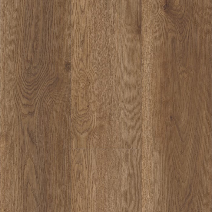 VV035-00922 - Arvon Oak