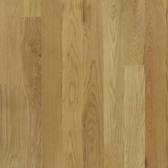 WO401-F1640 - Ginger