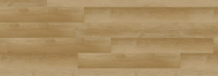 RECG3002 - Colton
