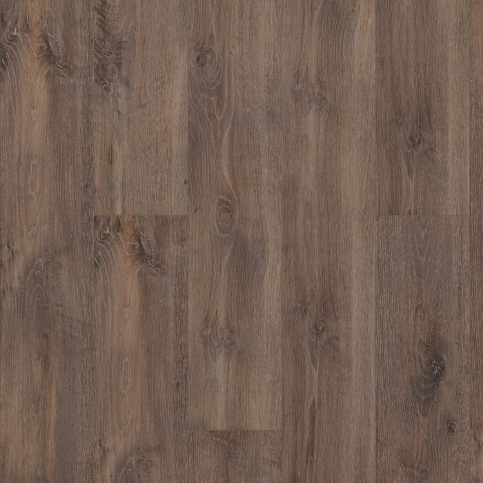 07067-2019V - Shaw Floorte Pro - Allegiance Plus Accent - Chapman