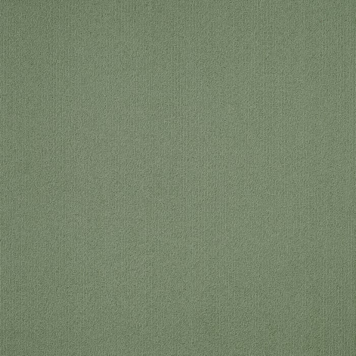 54462_62310 - swatch