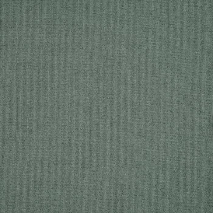 54462_62315 - swatch