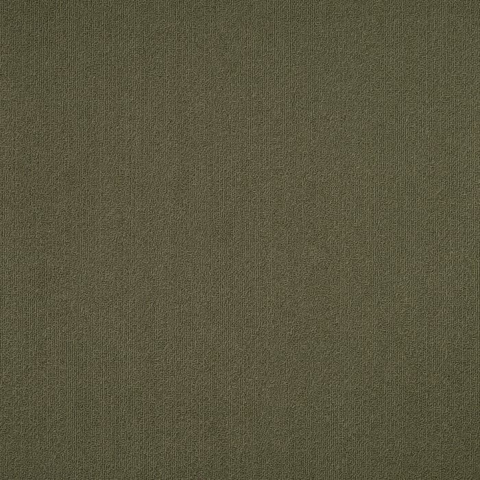 54462_62335 - swatch