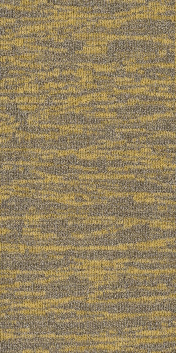54849_00220 - Philadelphia Contract - Modern Terrain - Tidewater - Monadnock