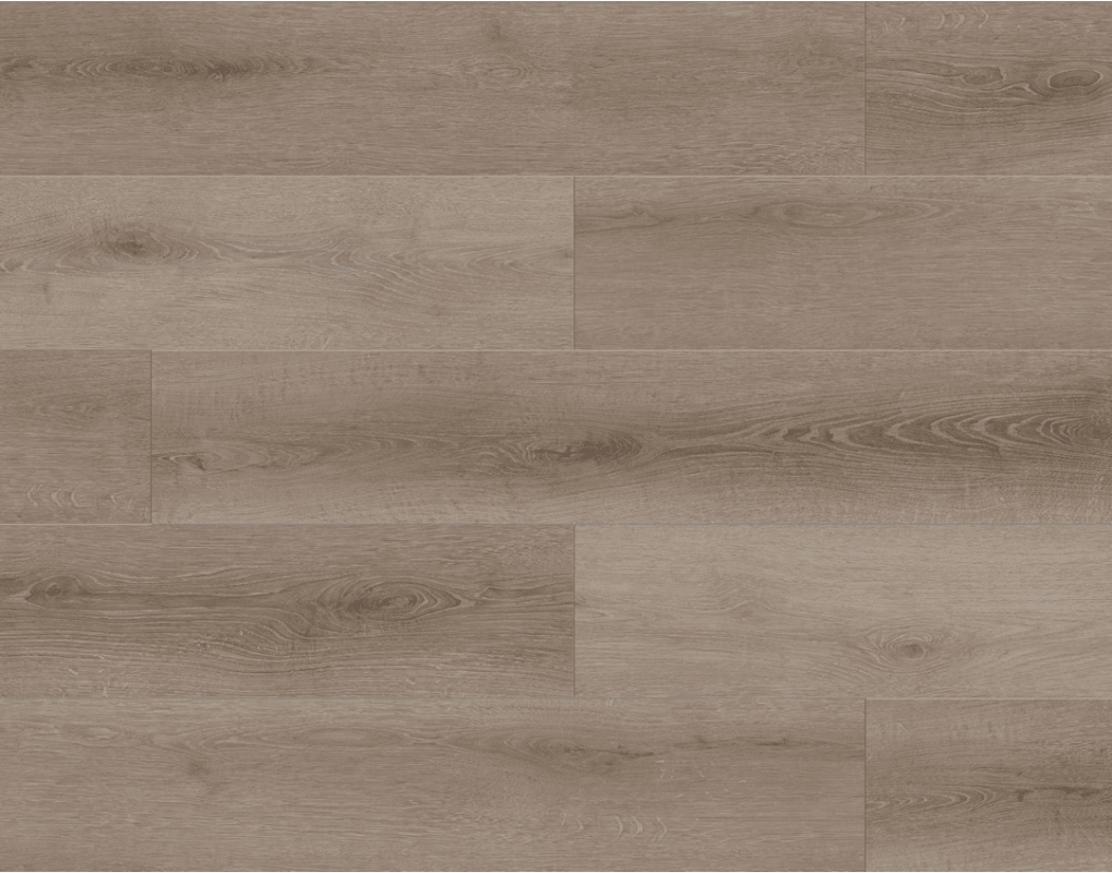 BB-VI - Lions Floor - Bambino SPC - Coffee Feather