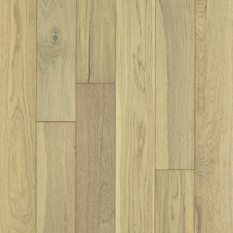 SW583-01028 - Shaw - Empire Oak - Carnegie