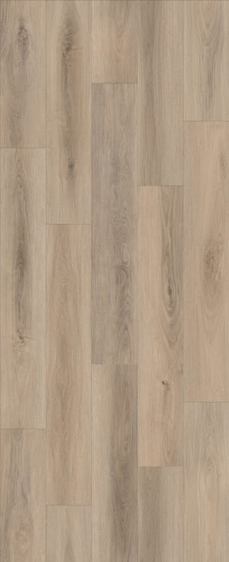 LI-CH10 - Lions Floor - Comfort Heights - Cedar View