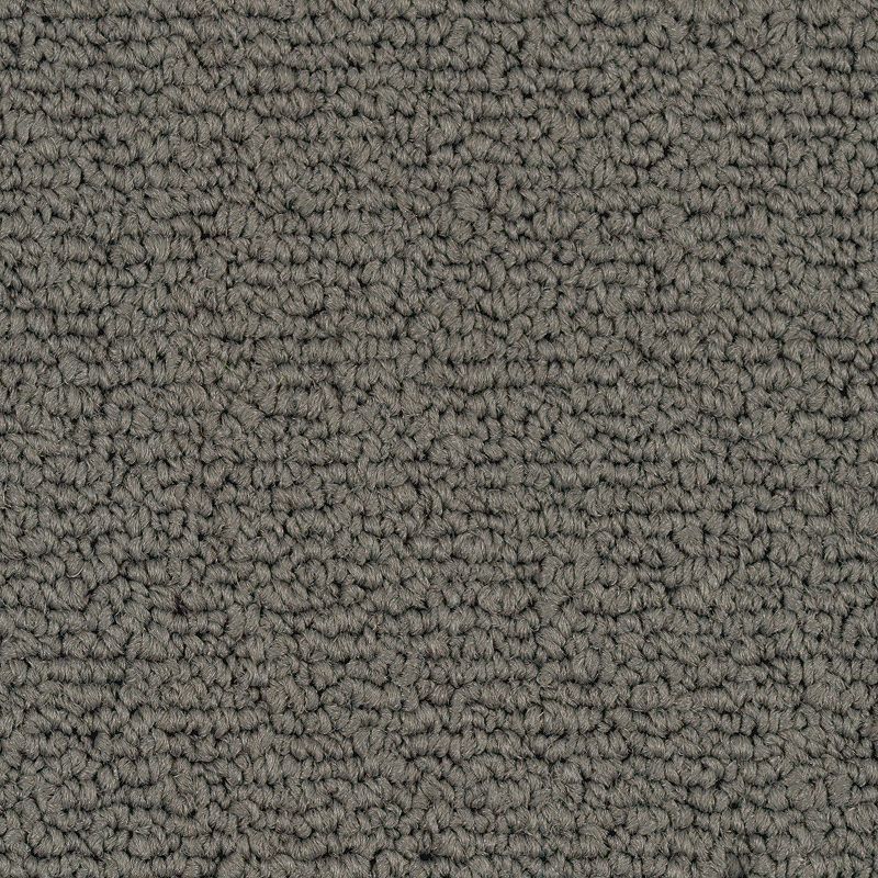 2B136-964 - Aladdin Commercial - Color Pop 12 x 36 - Graphite