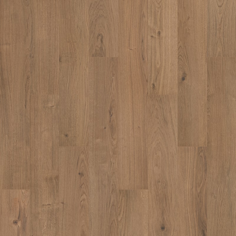 SDS13-842 - Mohawk Solidtech R Select - Ashland Crest - Fern