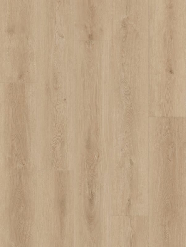 LI-CH02 - Lions Floor - Comfort Heights - Baywood Place