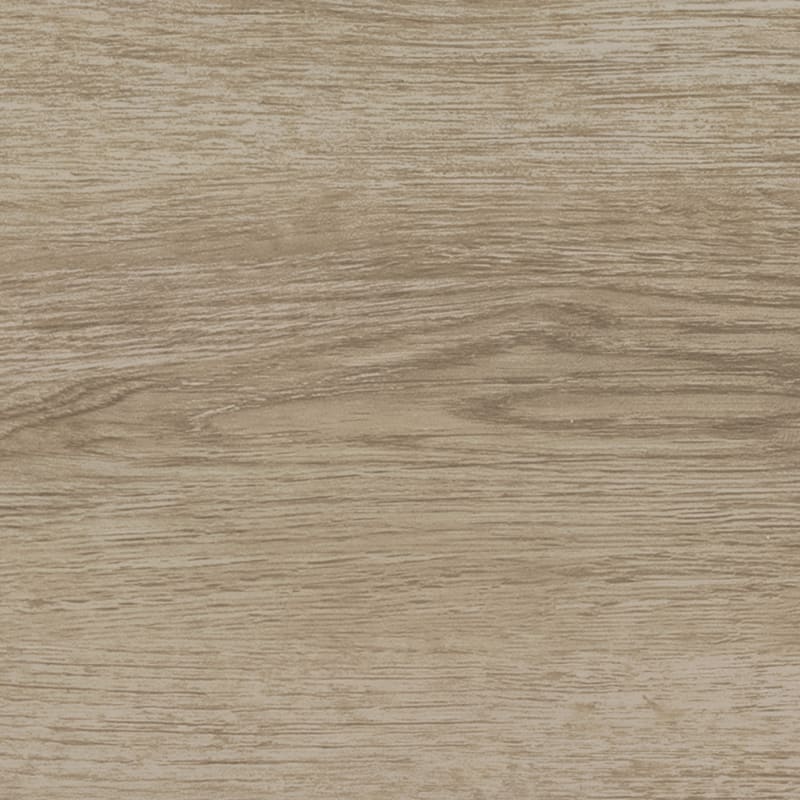 BP11RC96060 - Daltile ProSeries - Bellamy Place - Garden