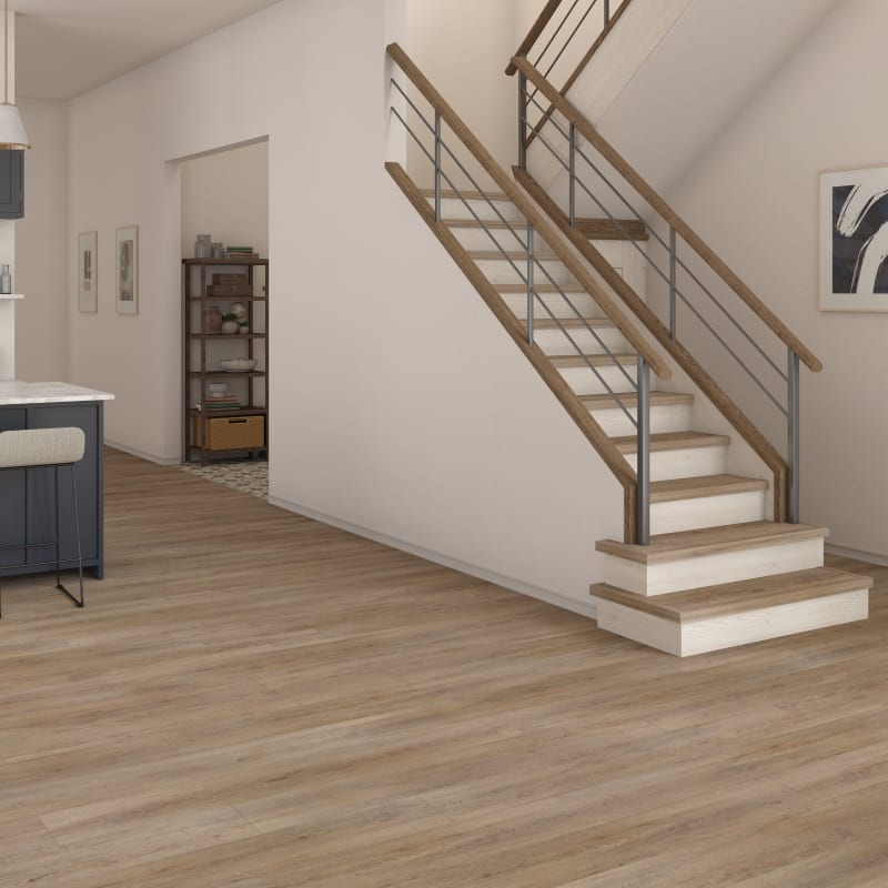 BP12RC96060 - Daltile ProSeries - Bellamy Place - Courtyard