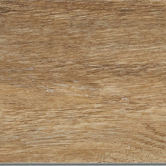 AD33648CLVT1P - Daltile ProSeries - Adventuro - Compass
