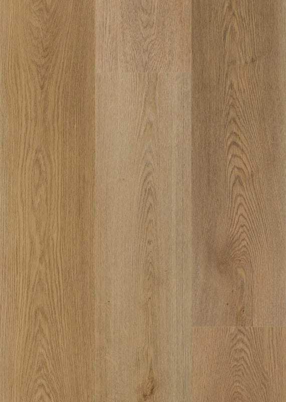 AB24971GD12ML2M - Daltile ProSeries - Asher Bend Flexible Glue Down 2mm 12 mil - Manor