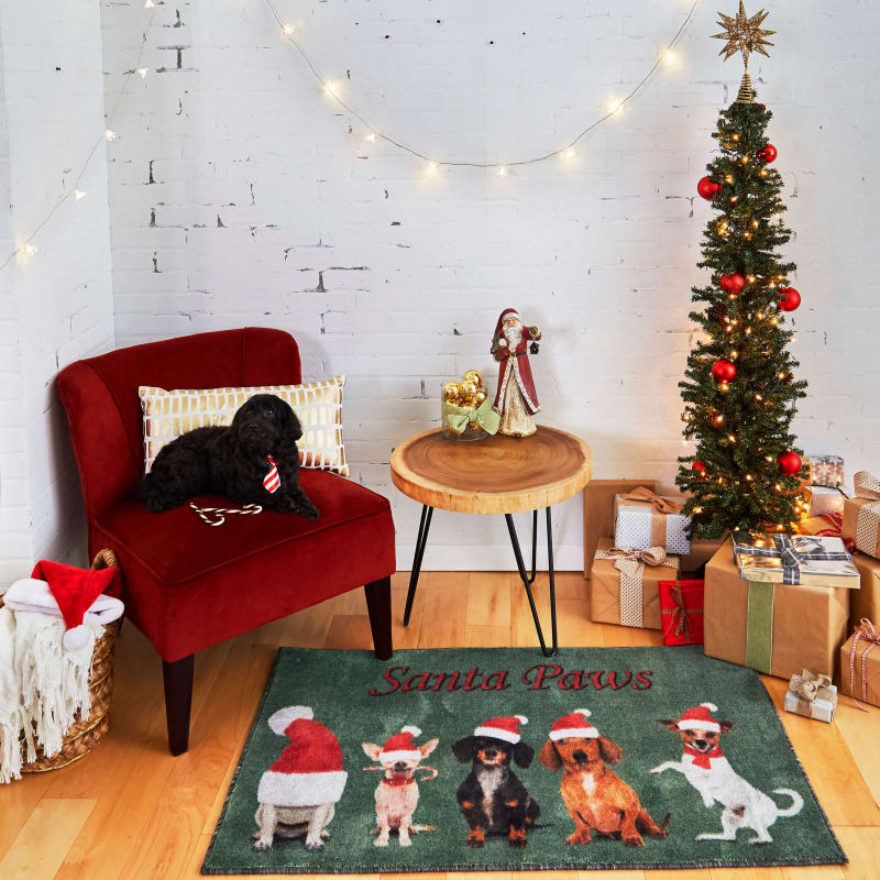 Prismatic - Santa Paws Multi ZW009-A416 - Mohawk Home - Prismatic - Santa Paws Multi ZW009