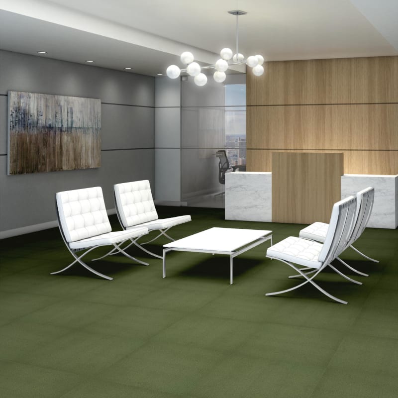 54462_62370 - Philadelphia Contract - Color Accents - Cactus