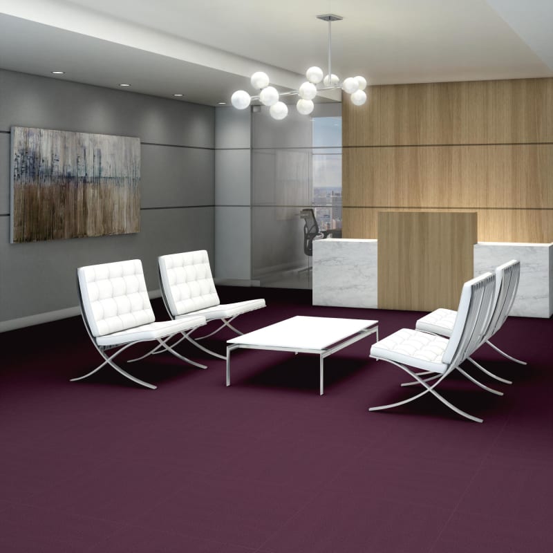 54462_62979 - Philadelphia Contract - Color Accents - Purple Heart