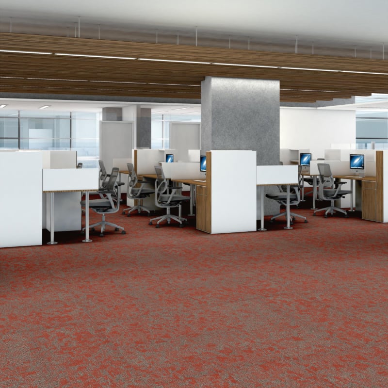 54848_00816 - Philadelphia Contract - Modern Terrain - Arid - Miombo