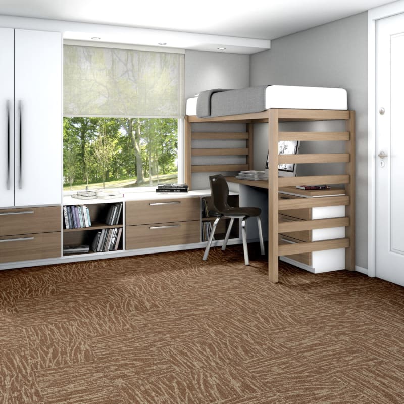 54849_00801 - Philadelphia Contract - Modern Terrain - Tidewater - Mesa