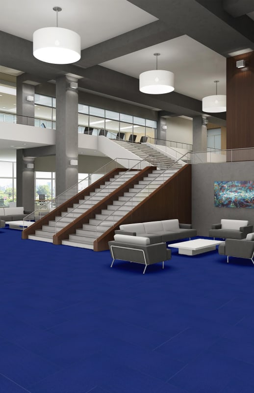 54786_62408 - Philadelphia Contract - Color Accents 18 X 36 - Electric