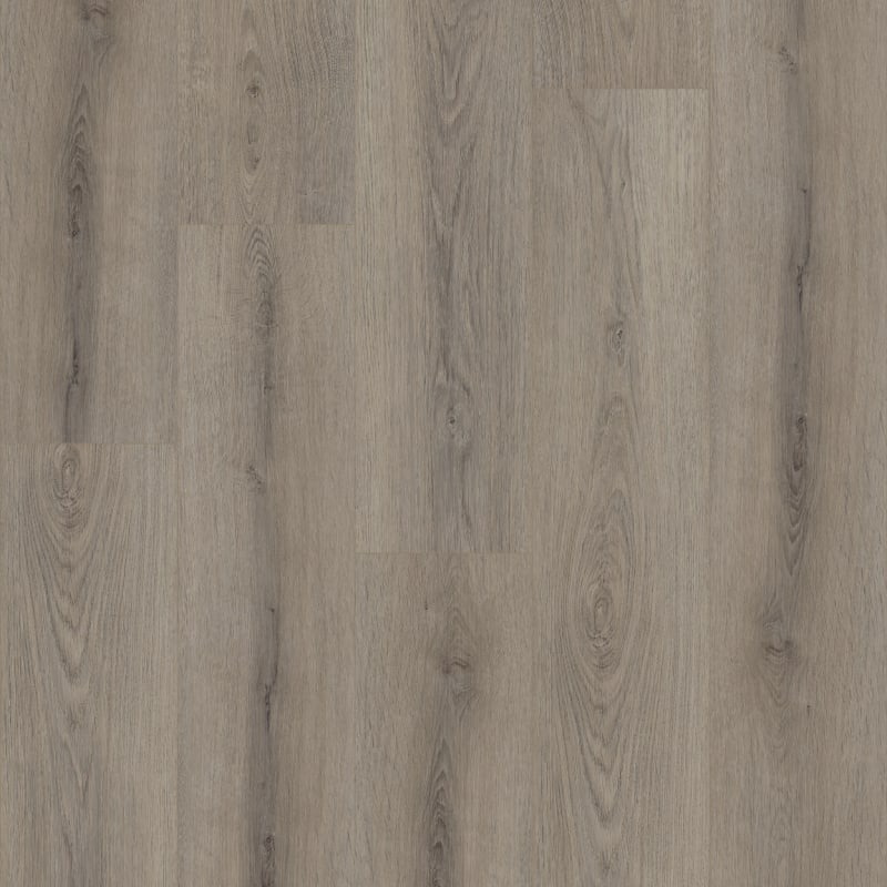 05219_0278V - Shaw Floorte Pro - Paladin Plus - Ashen Brown