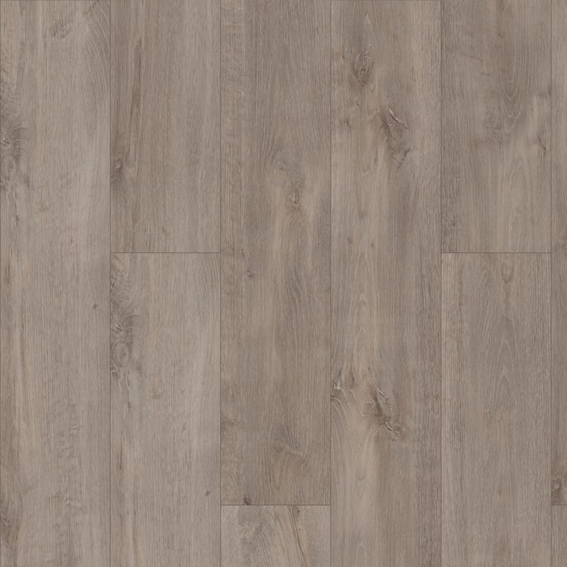 05057-2019V - Shaw Floorte Pro - Allegiance Plus Accent - Ambassador