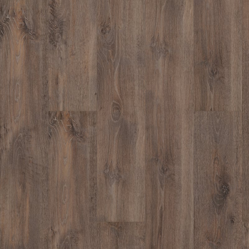 07067-2019V - Shaw Floorte Pro - Allegiance Plus Accent - Chapman