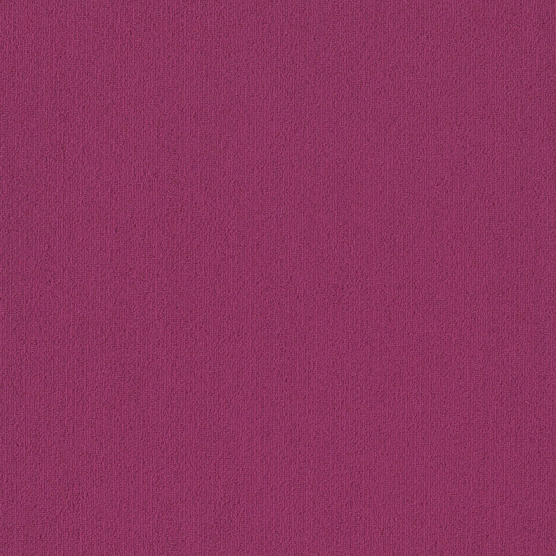 54462_62890 - Philadelphia Contract - Color Accents - Calypso