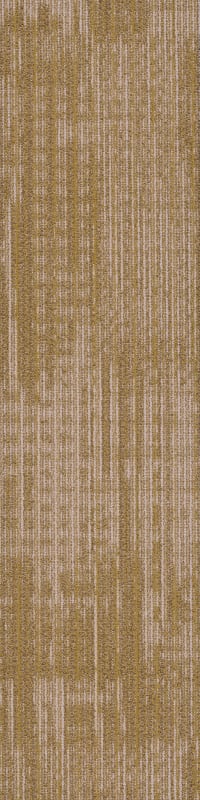 54874_00200 - Philadelphia Contract - Mosaic Mix - Harmony - Cadence