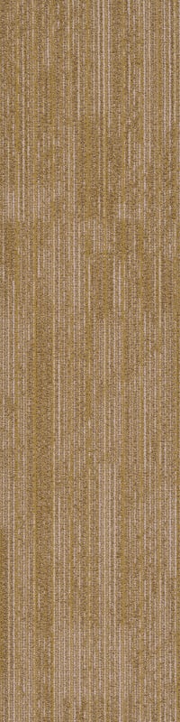54876_00200 - Philadelphia Contract - Mosaic Mix - Rhythm - Cadence