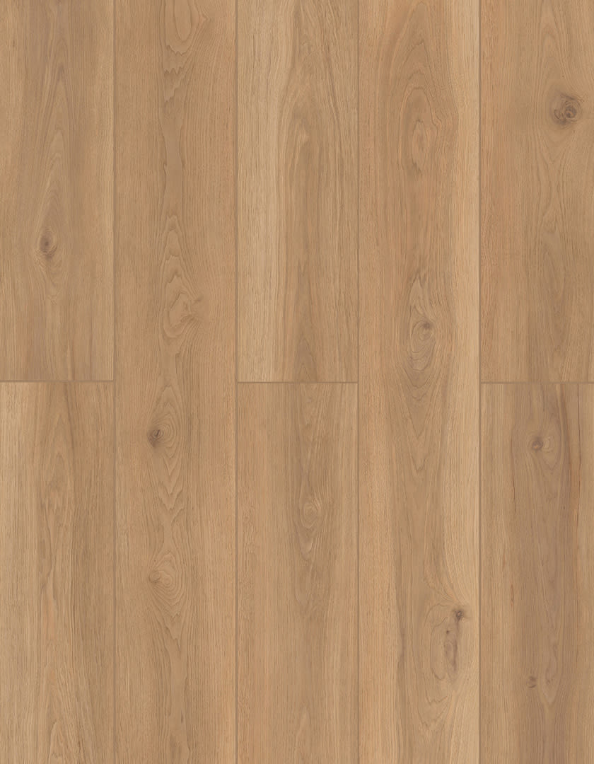 LI-TS202 - Lions Floor - Lone Star Spirit XL SPC - Backyard Garnish