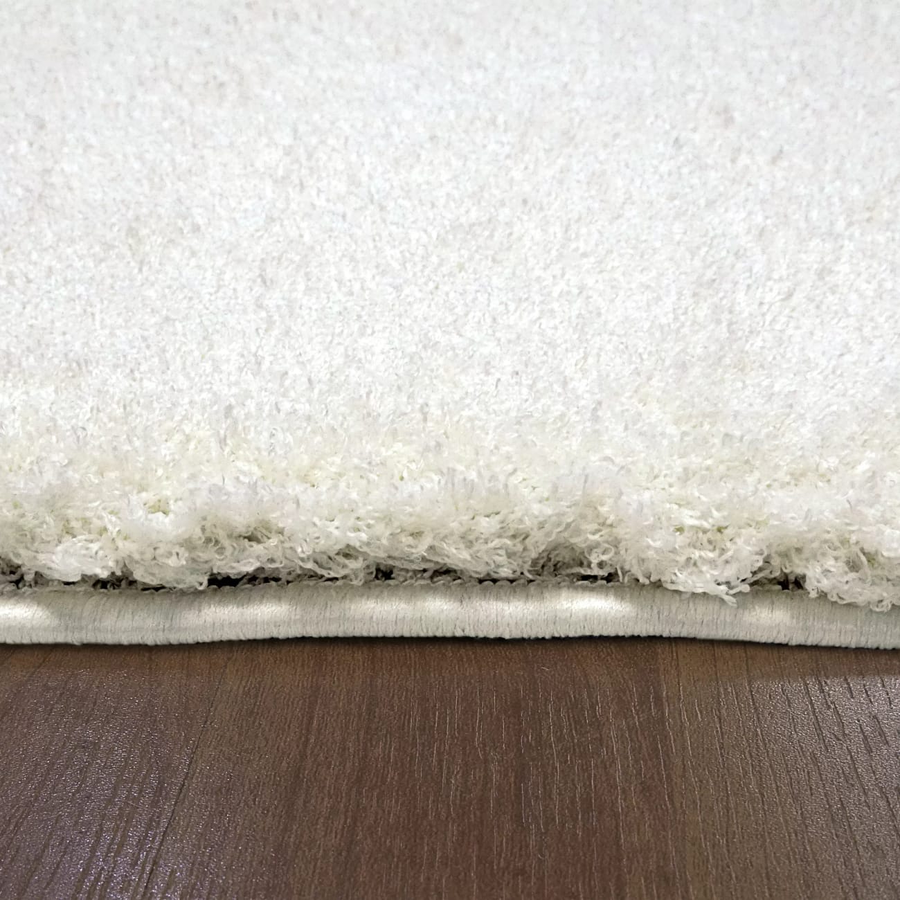 SI465900100 - Dynamic Rugs - SILKY SHAG - Ivory 5900-100 - 3.11' x 5.7'