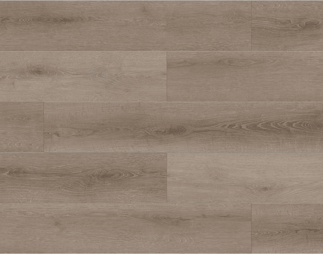 BB-VI - Lions Floor - Bambino SPC - Coffee Feather