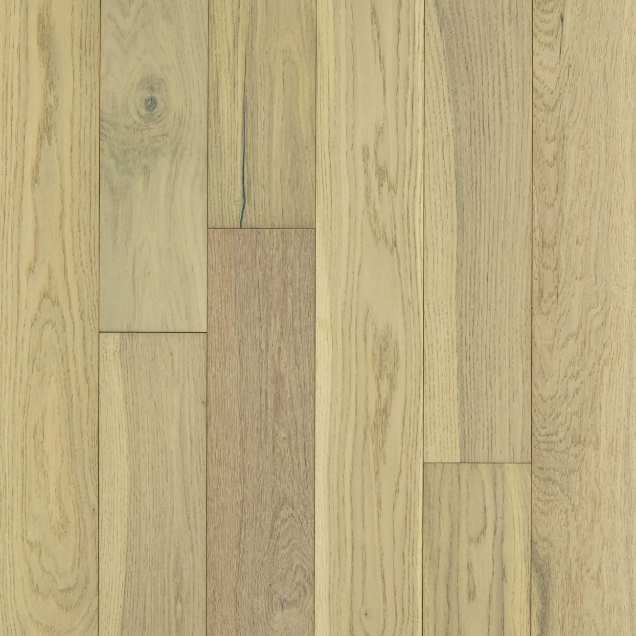 SW583-01028 - Shaw - Empire Oak - Carnegie