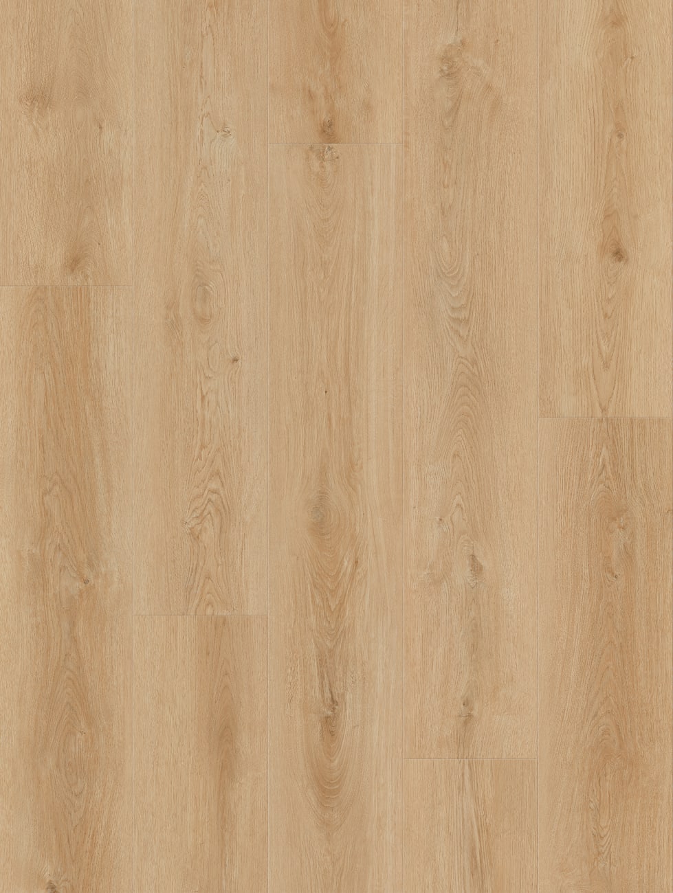 LI-CH01 - Lions Floor - Comfort Heights - Village Park