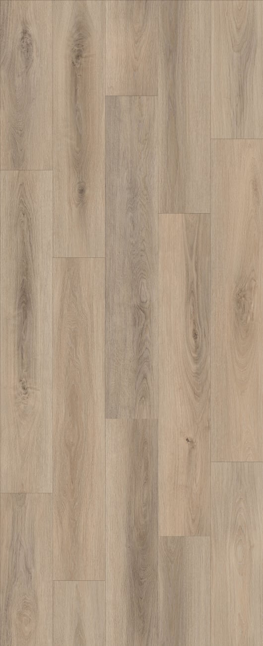 LI-CH10 - Lions Floor - Comfort Heights - Cedar View