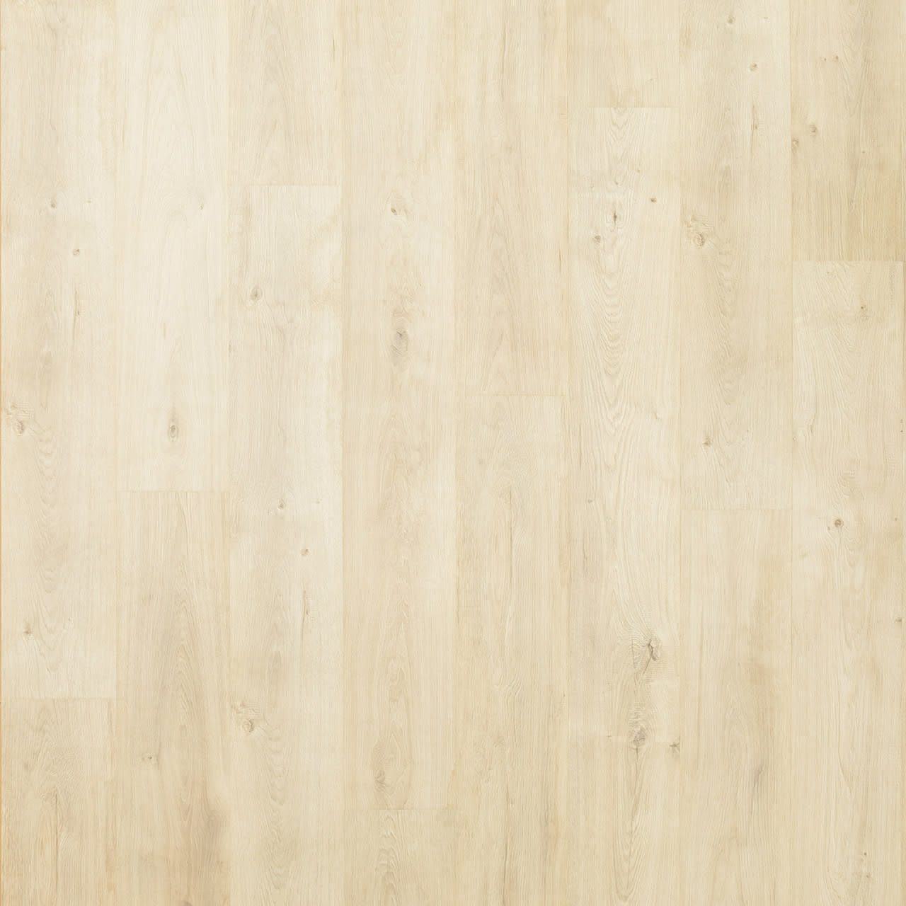 PSR03-08 - Pergo Elements Preferred - LeGrand - Palisade