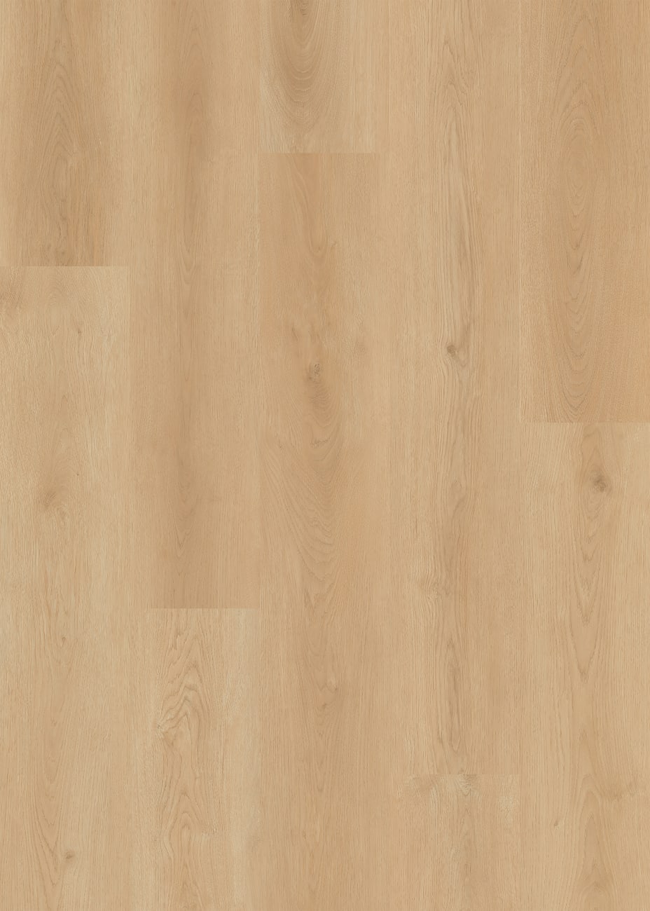 LI-DT01 - Lions Floor - District LVP - Billings
