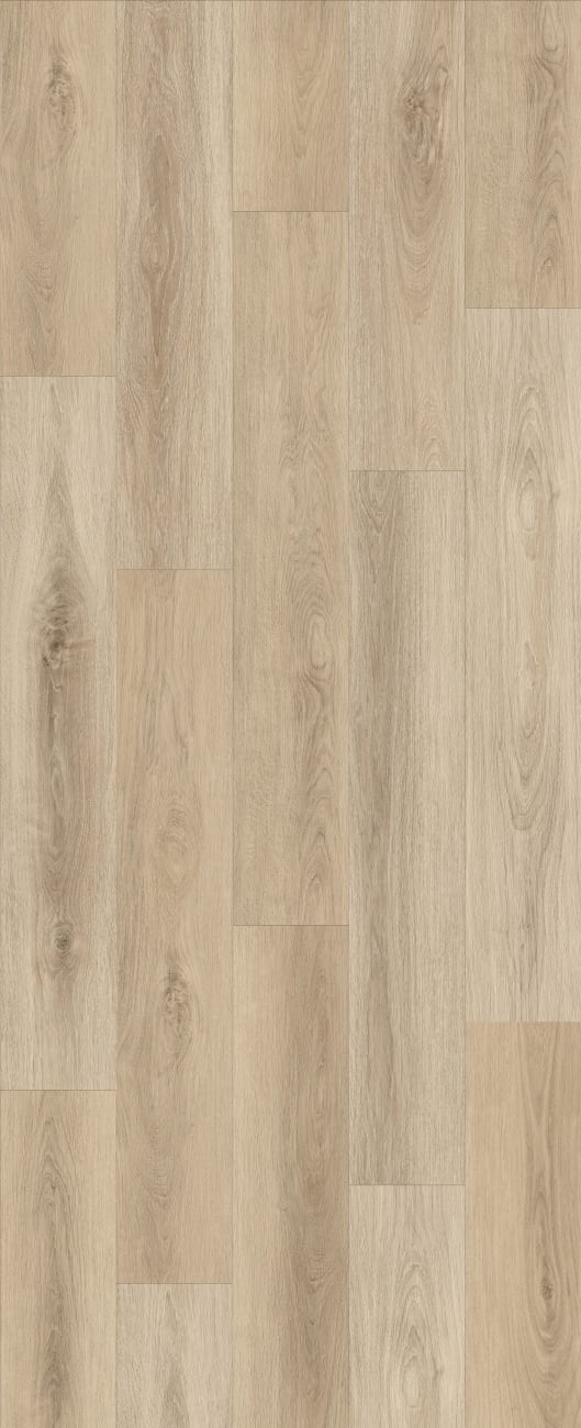 LI-CH09 - Lions Floor - Comfort Heights - Pine Ridge