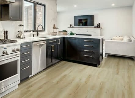 P1042-D8012 - TRUCOR - Alpha - Natural Maple