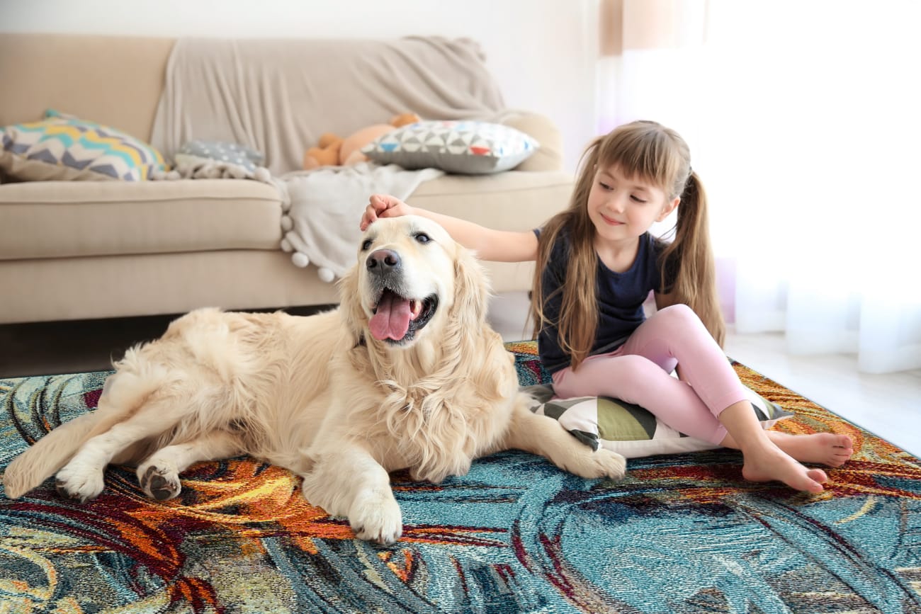 ZODIAC - Blue Multi 6622-536 - Dynamic Rugs - ZODIAC - Blue Multi 6622-536