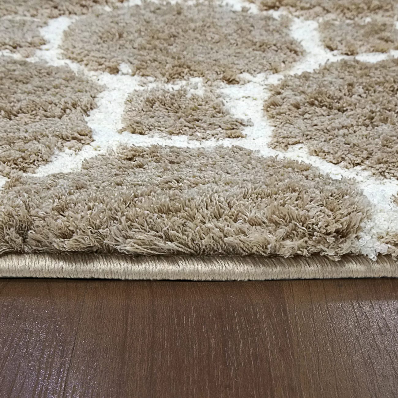 SI695903115 - Dynamic Rugs - SILKY SHAG - Beige 5903-115 - 5.3' x 7.7'