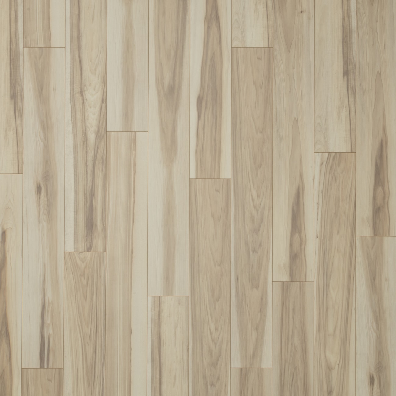 PSR01-01 - Pergo Elements Originals - Accustoms - Creme