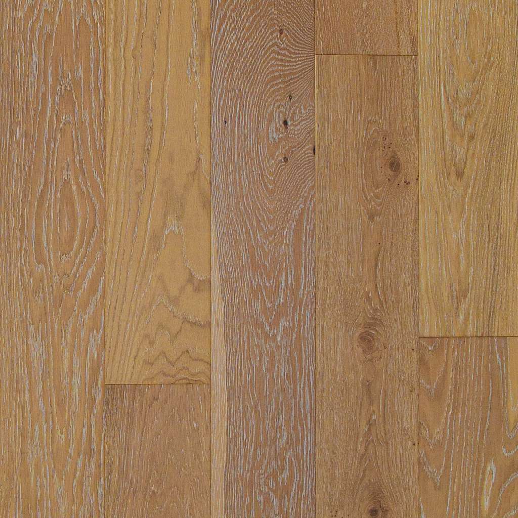 SW753-12019 - Shaw - Utmost - Perpetual