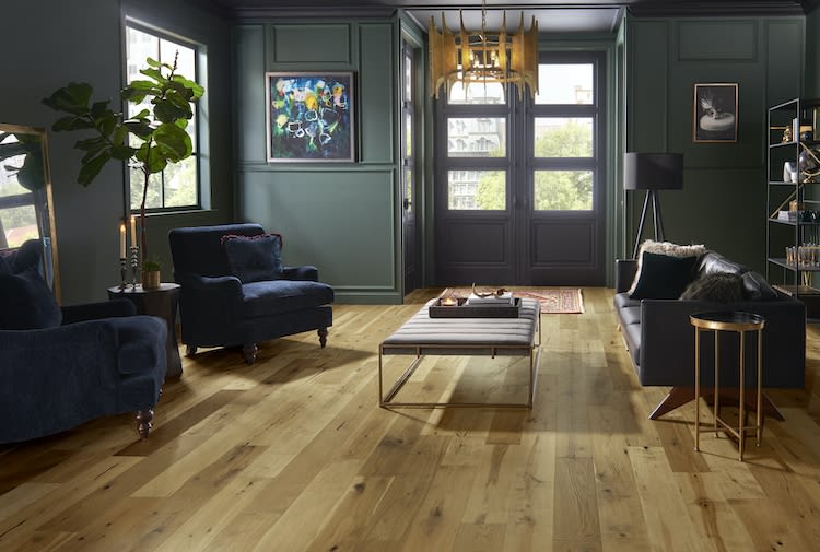 TRP07GLD1 - Mannington Maison Collection - Triumph - Gold